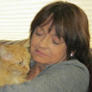 Meet your Posher, Carol